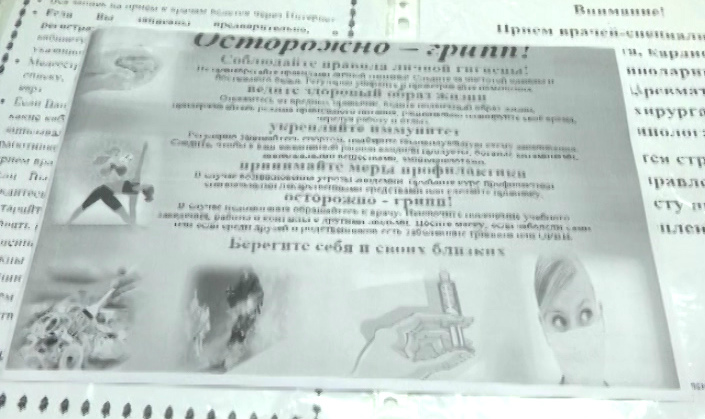 Карантин снят: за время эпидемии в Муроме зафиксирован 71 случай заболевания гриппом