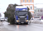 На городской площади возле администрации установили главную новогоднюю ёлку
