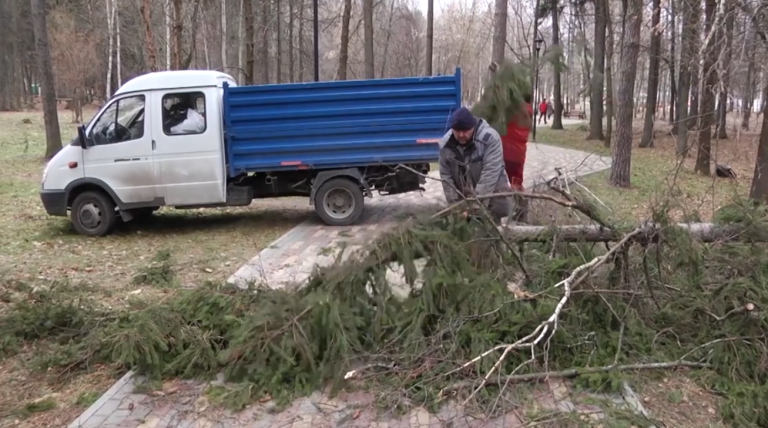 Во Владимирской области преодолевают последствия стихии, обрушившейся вчера на наш регион