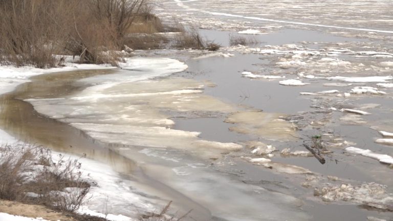 За сутки уровень воды в Оке повысился на 8 сантиметров